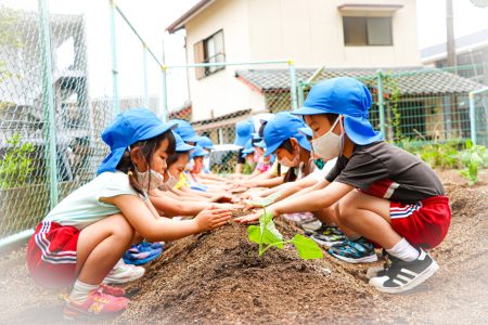 野菜の苗植え★