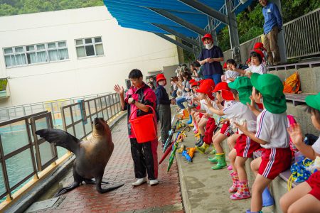 年中さん　桂浜水族館にいってきました！