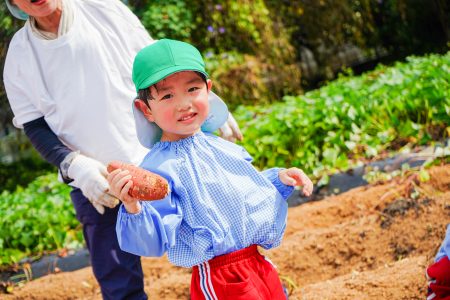 お芋ほり遠足に行きました！