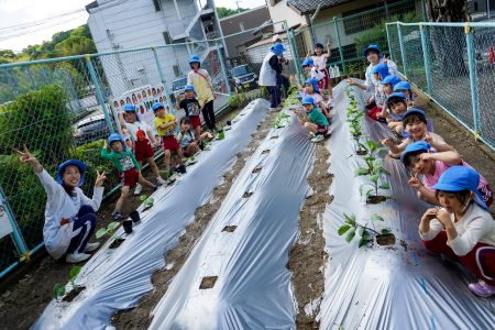 畑で野菜を植えました☆彡
