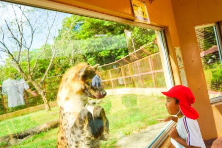 🦒 2年ぶりの親子遠足！☀️